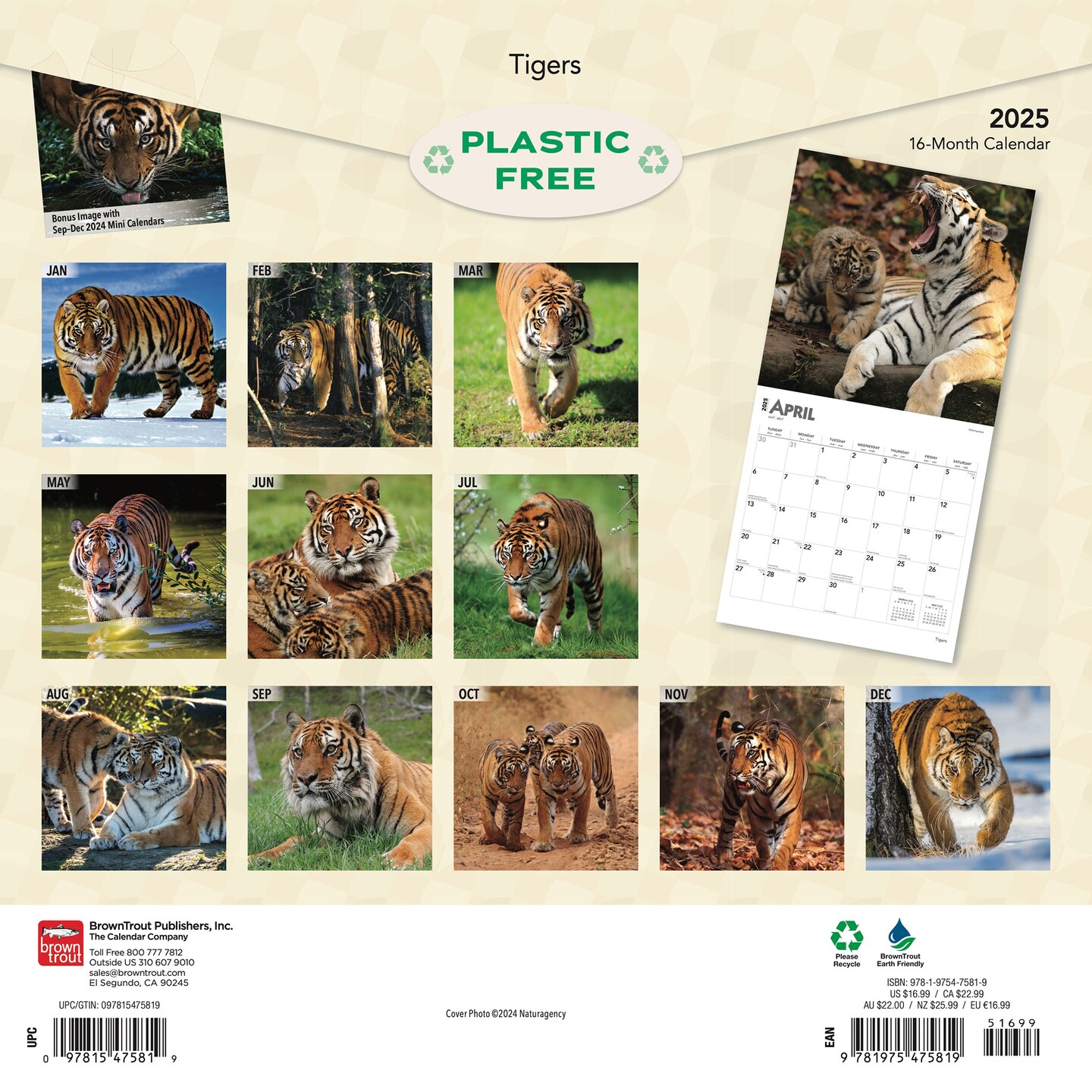 Tigers | 2025 12 x 24 Inch Monthly Square Wall Calendar | Plastic-Free | BrownTrout | Wildlife Zoo Animals
