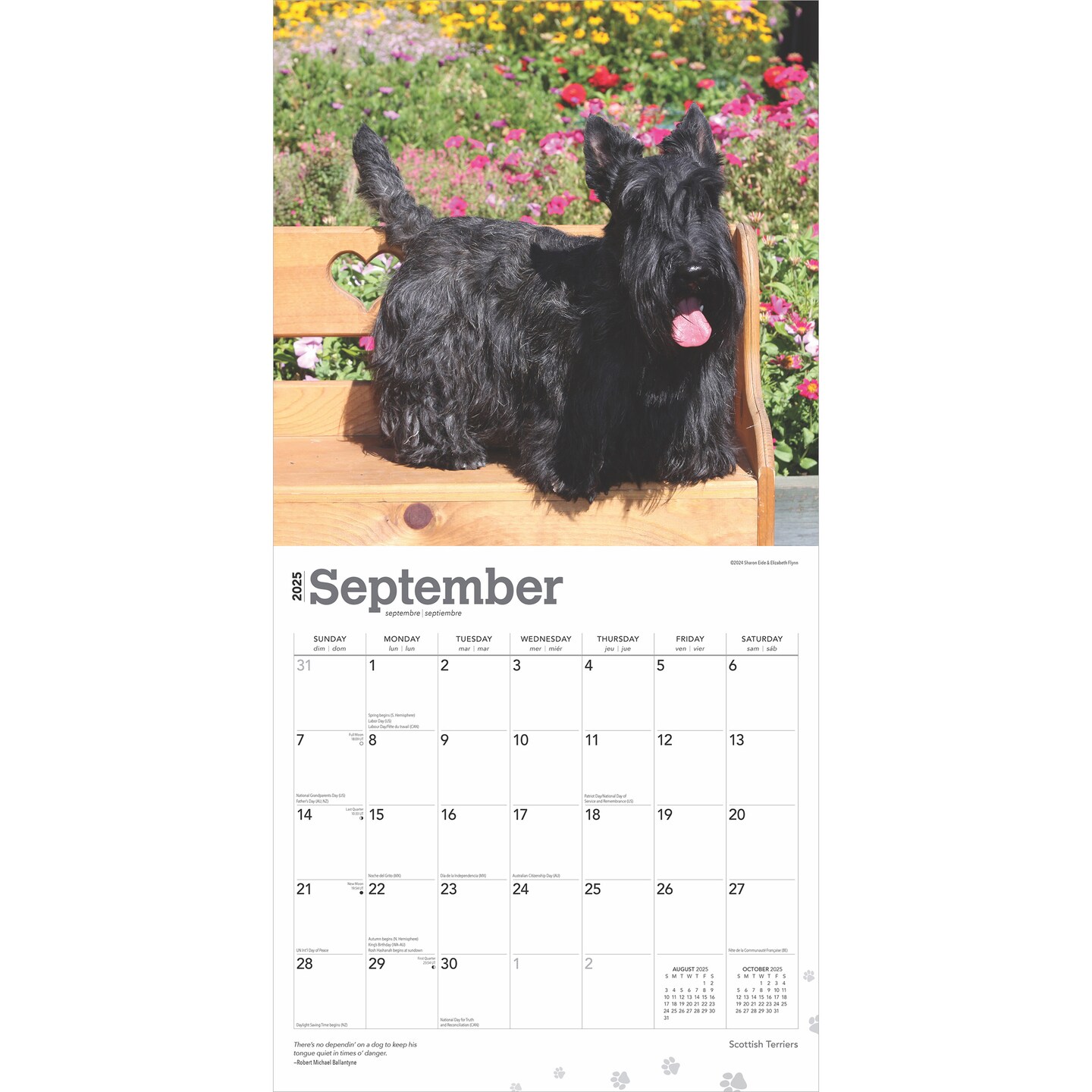 Scottish Terriers | 2025 12 x 24 Inch Monthly Square Wall Calendar | Plastic-Free | BrownTrout | Animals Small Scottie
