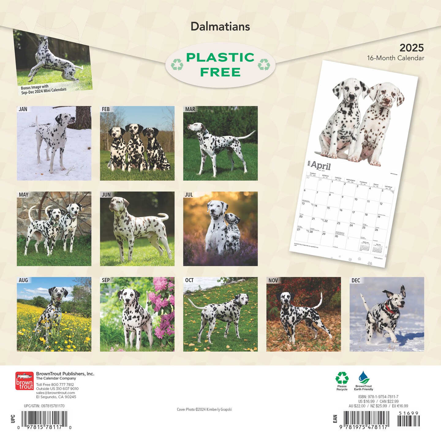 Dalmatians | 2025 12 x 24 Inch Monthly Square Wall Calendar | Plastic-Free | BrownTrout | Animals Dog Breeds