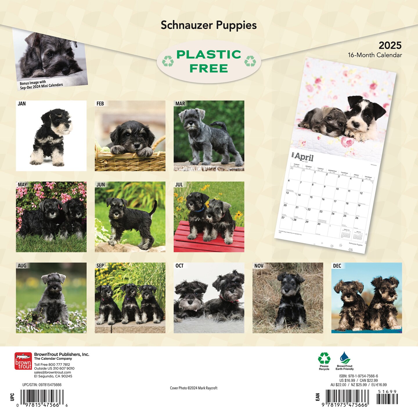 Schnauzer Puppies | 2025 12 x 24 Inch Monthly Square Wall Calendar | Plastic-Free | BrownTrout | Animals Dog Breeds Puppy