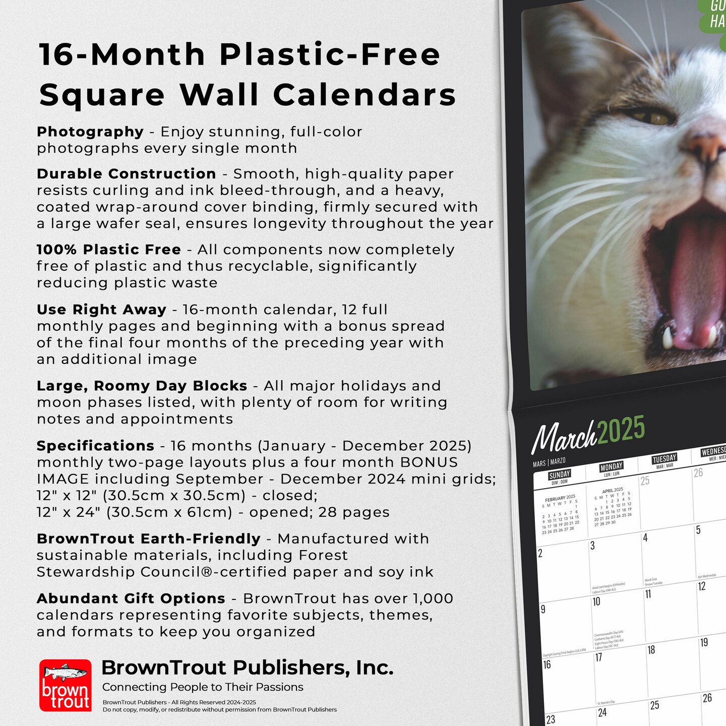 Cat Selfies | 2025 12 x 24 Inch Monthly Square Wall Calendar | Plastic-Free | BrownTrout | Pet Humor Kitten Feline
