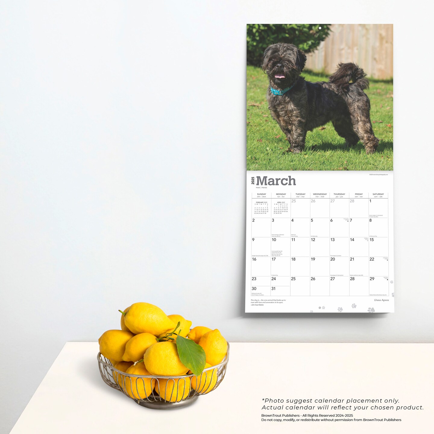 Lhasa Apsos | 2025 12 x 24 Inch Monthly Square Wall Calendar | Plastic-Free | BrownTrout | Animals Dog Breeds
