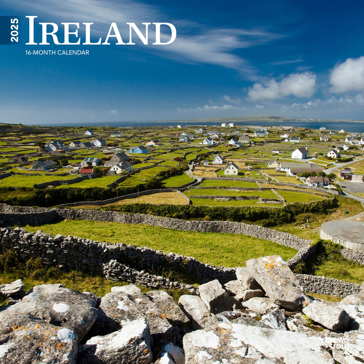 Ireland | 2025 12 x 24 Inch Monthly Square Wall Calendar | Plastic-Free | BrownTrout | Scenic Travel Dublin Irish