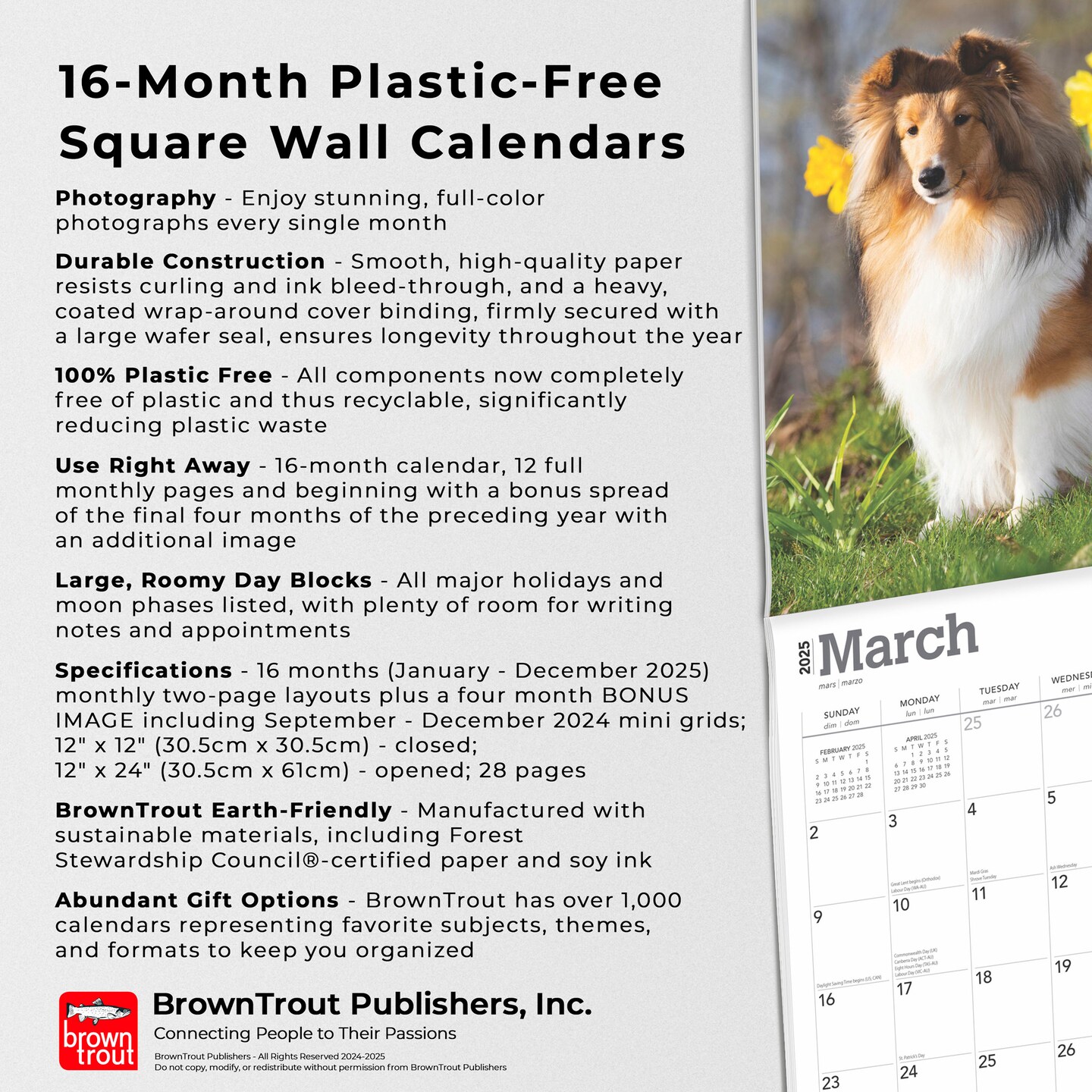 Shetland Sheepdogs | 2025 12 x 24 Inch Monthly Square Wall Calendar | Plastic-Free | BrownTrout | Animals Dog Breeds