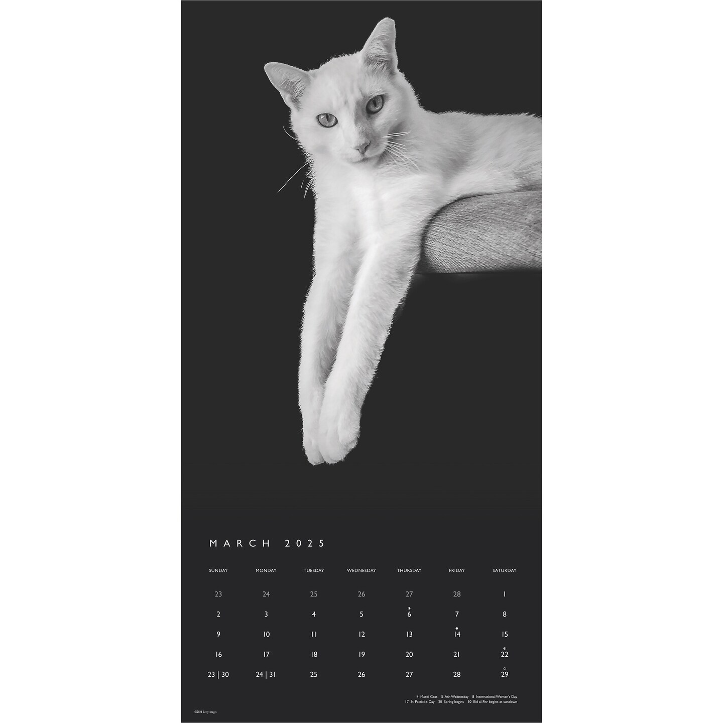 The BrownTrout Portrait Series: The Regal Cat | 2025 12 x 24 Inch Monthly Square Wall Calendar | Pet Kitten Feline