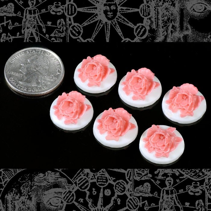 Round Blush Pink and White Resin 3D Style Cameos 17mm - Set of Six - CAM95