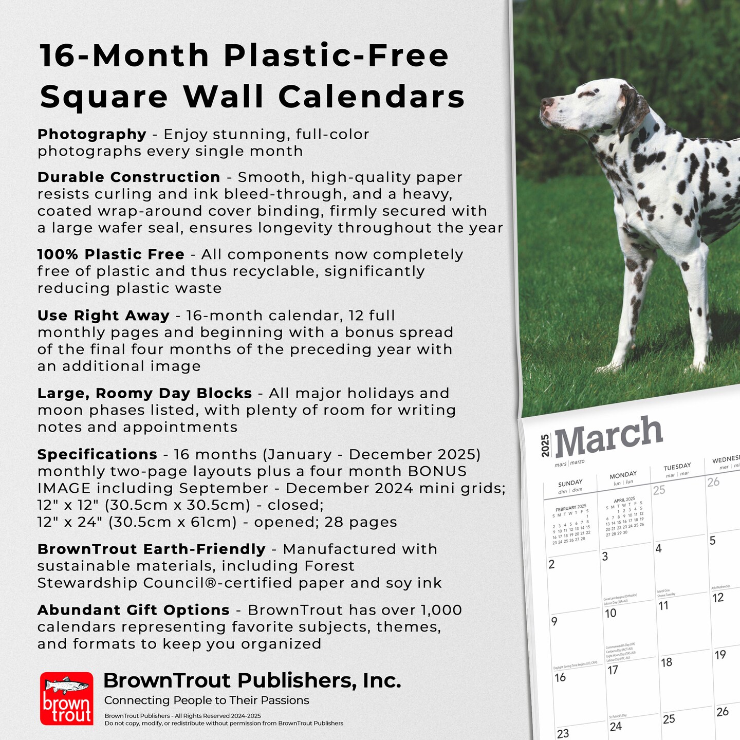Dalmatians | 2025 12 x 24 Inch Monthly Square Wall Calendar | Plastic-Free | BrownTrout | Animals Dog Breeds