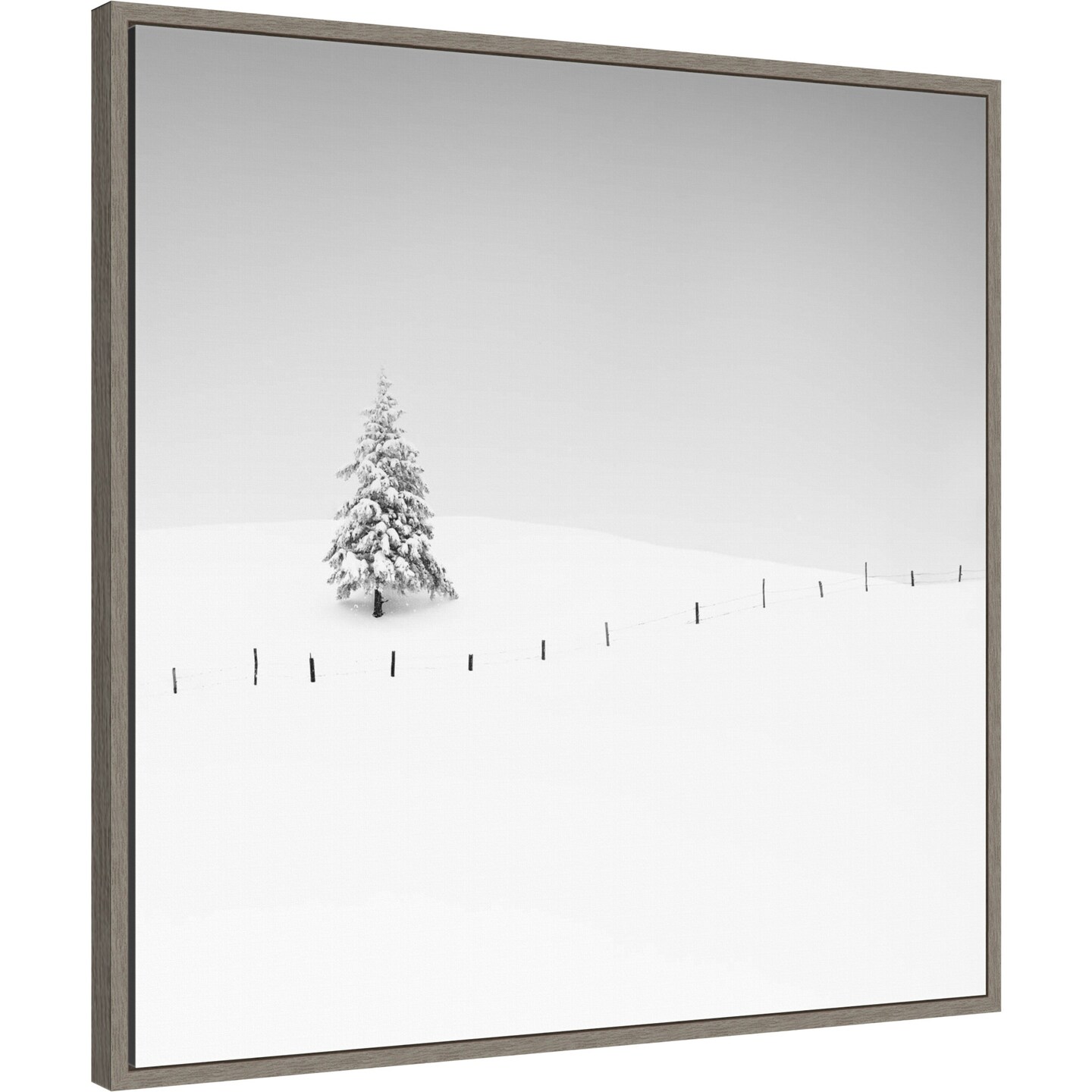 Placeholder by Alexej Schulz Framed Canvas Wall Art