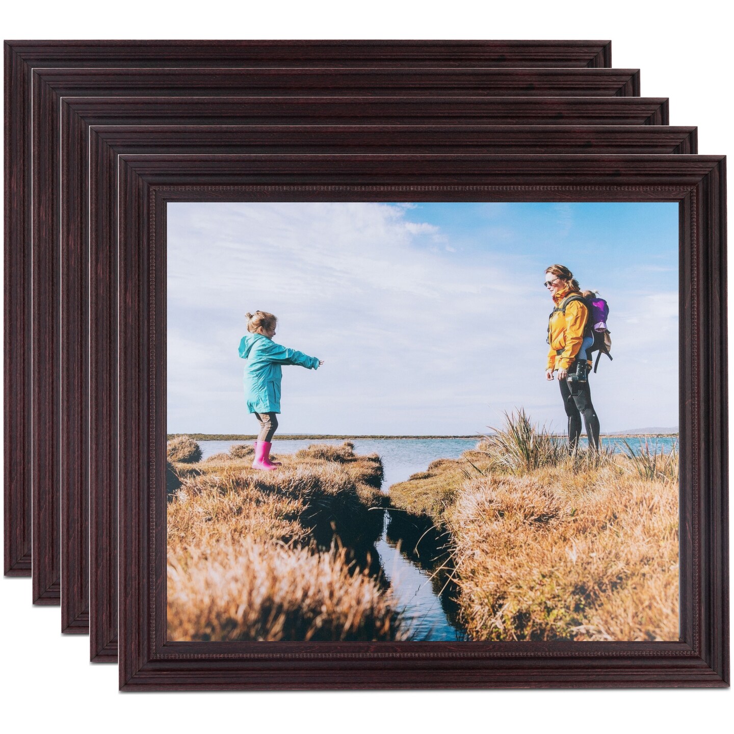 ArtToFrames 16x20 Inch Traditional Picture Frame, Multi Pack, Comes with Economy Acrylic (WOMPack-17-16x20)