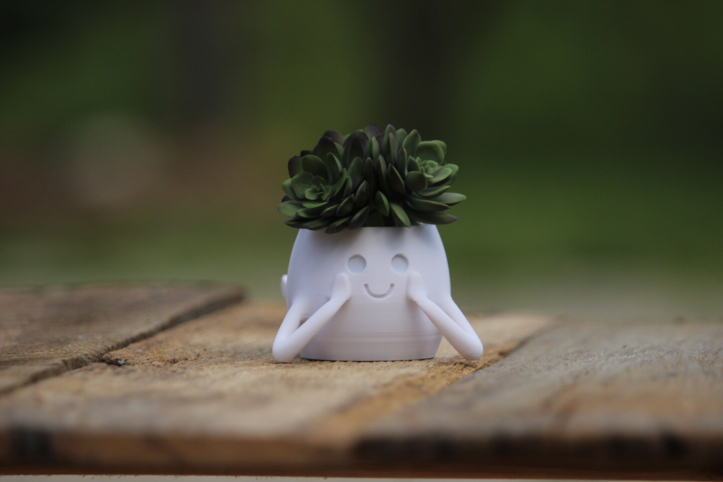 Succulent Planter Modern Small Cacti and Succulent Plants 3D Printed Happy  Face Planter Unique Decorative Planter for Home and Office | MakerPlace by  Michaels