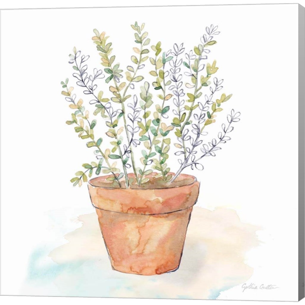 Let it Grow XI by Cynthia Coulter 12&#x22; x 12&#x22; Canvas Wall Art
