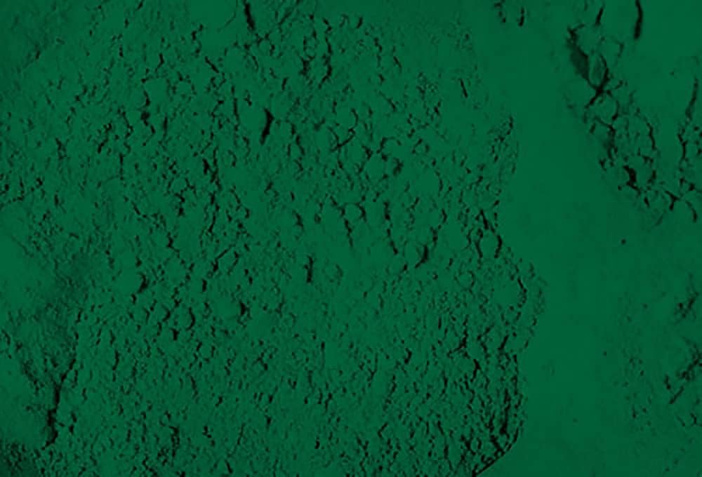 Reusche Glass Paint Stainer Lead &#x26; Cadmium Free Series 5 Color Dark Green 1oz. Jar #53R004