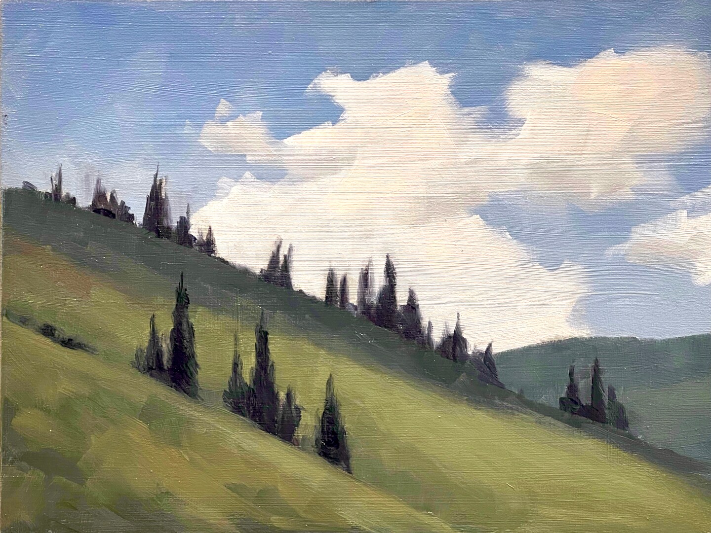 product name is Green Hill (6x8)