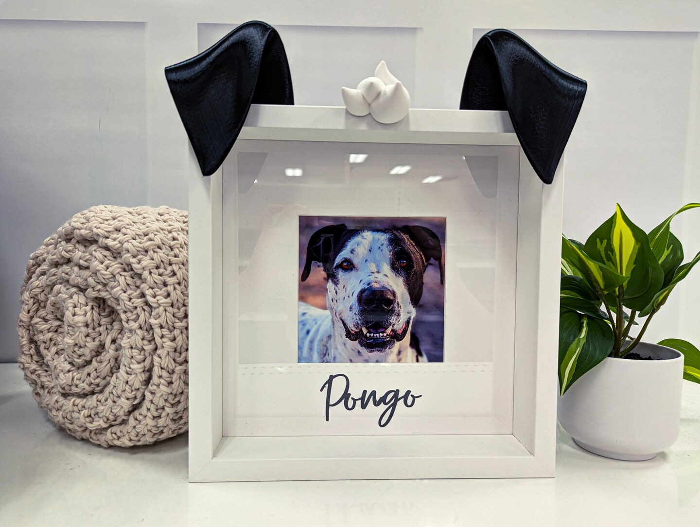 Pet memorial frame personalized best sale