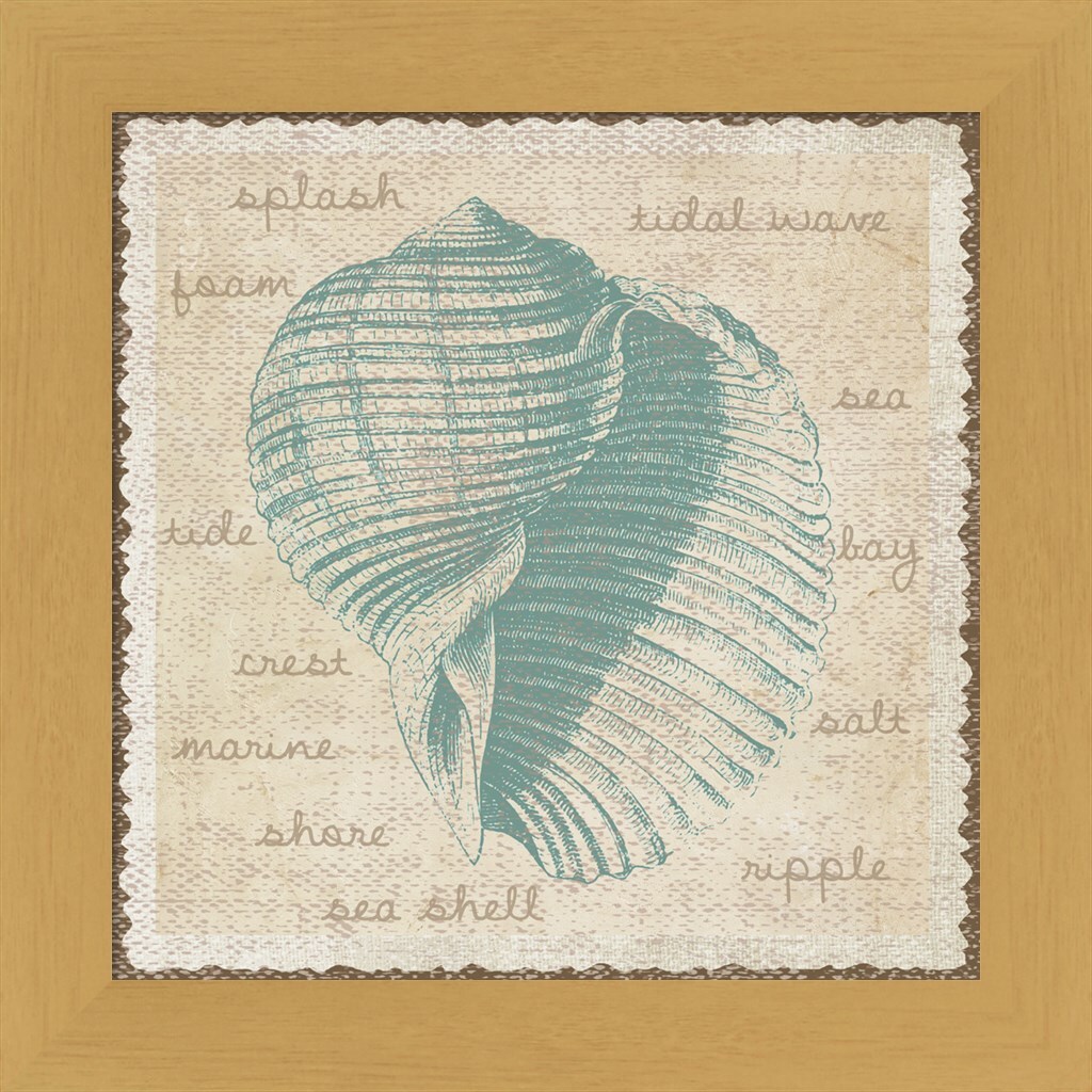 Shell by Erin Clark 13&#x22; x 13&#x22; Framed Wall Art