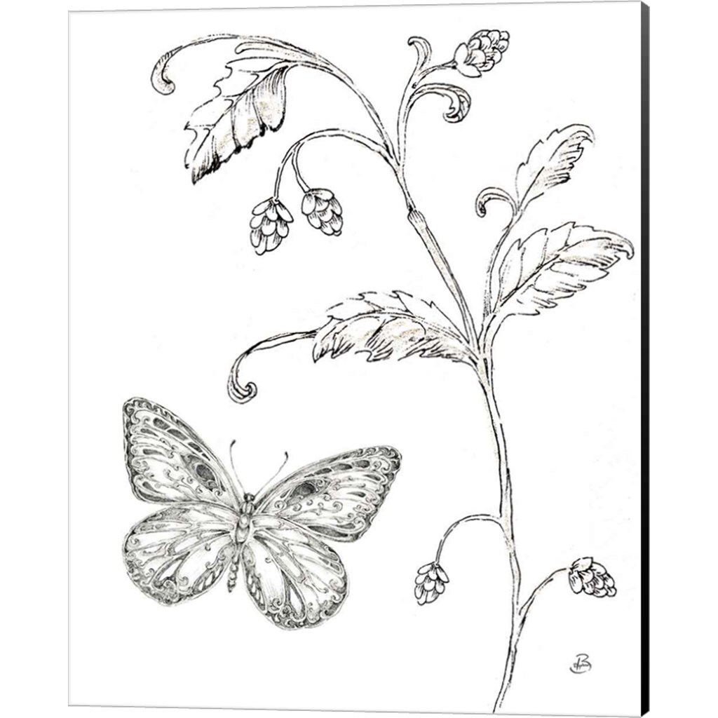 Outdoor Beauties Butterfly II by Daphne Brissonnet 16" x 20" Canvas Wall Art