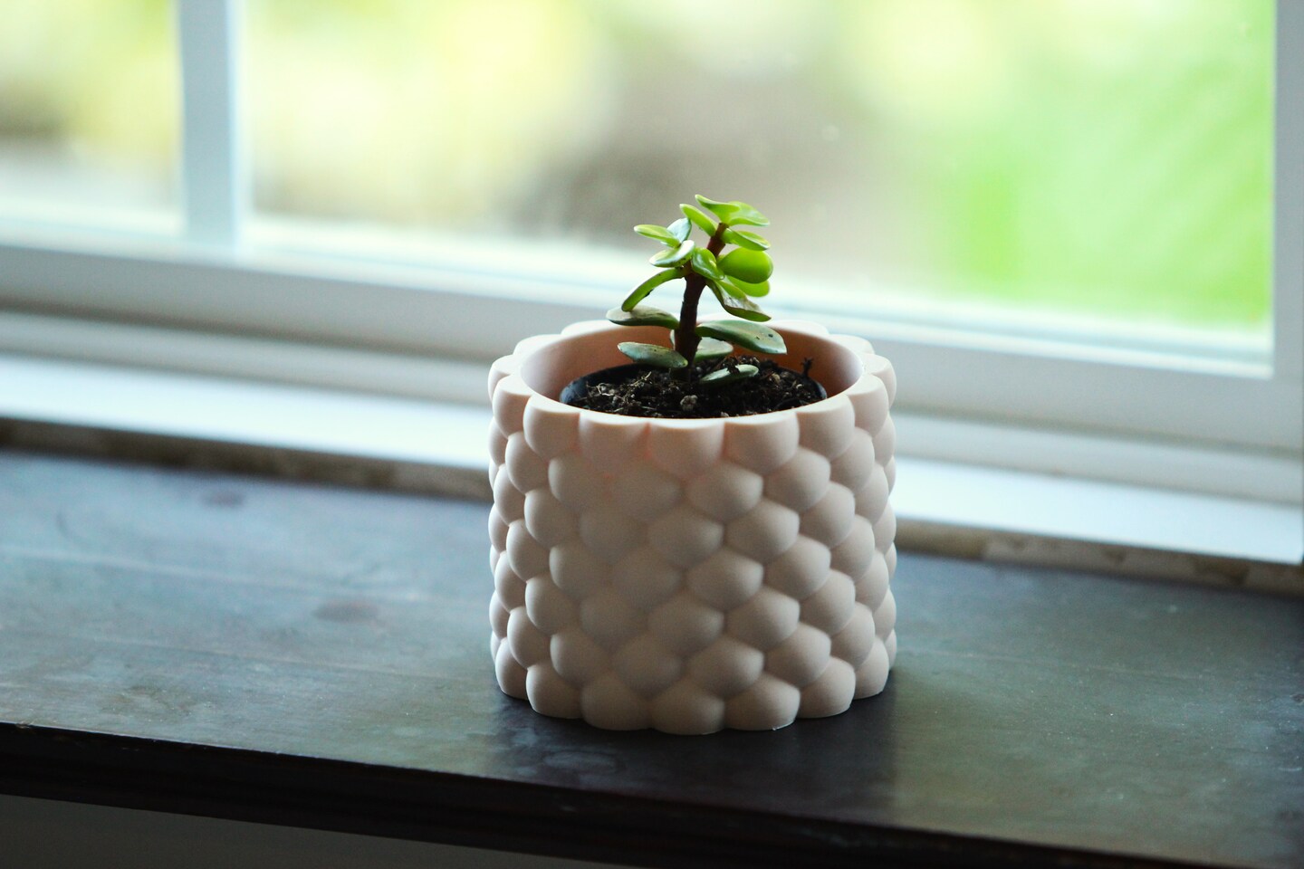 Succulent Vase - Modern Planter for Indoor Plants Unique Gift for Succulent  Lovers Minimalist Home Dcor Office Desk or Window Sill Display |  MakerPlace by Michaels