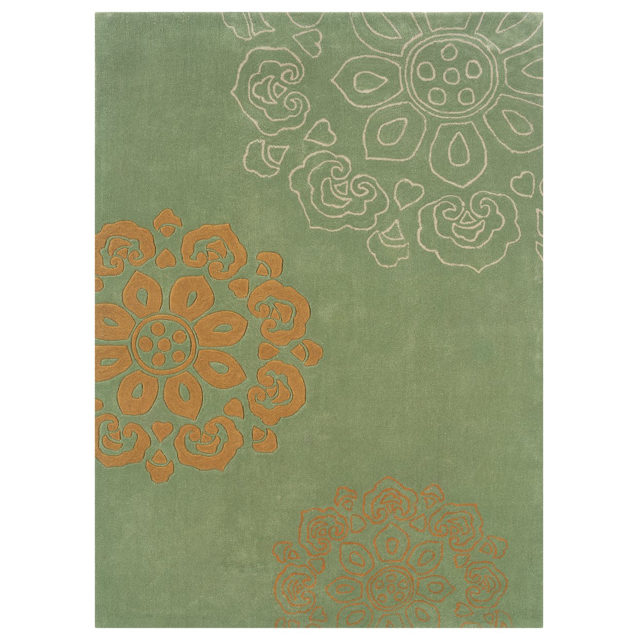 Trio Eryne Pale Green Area Rug 8X10 Transitional Contemporary Indoor Design
