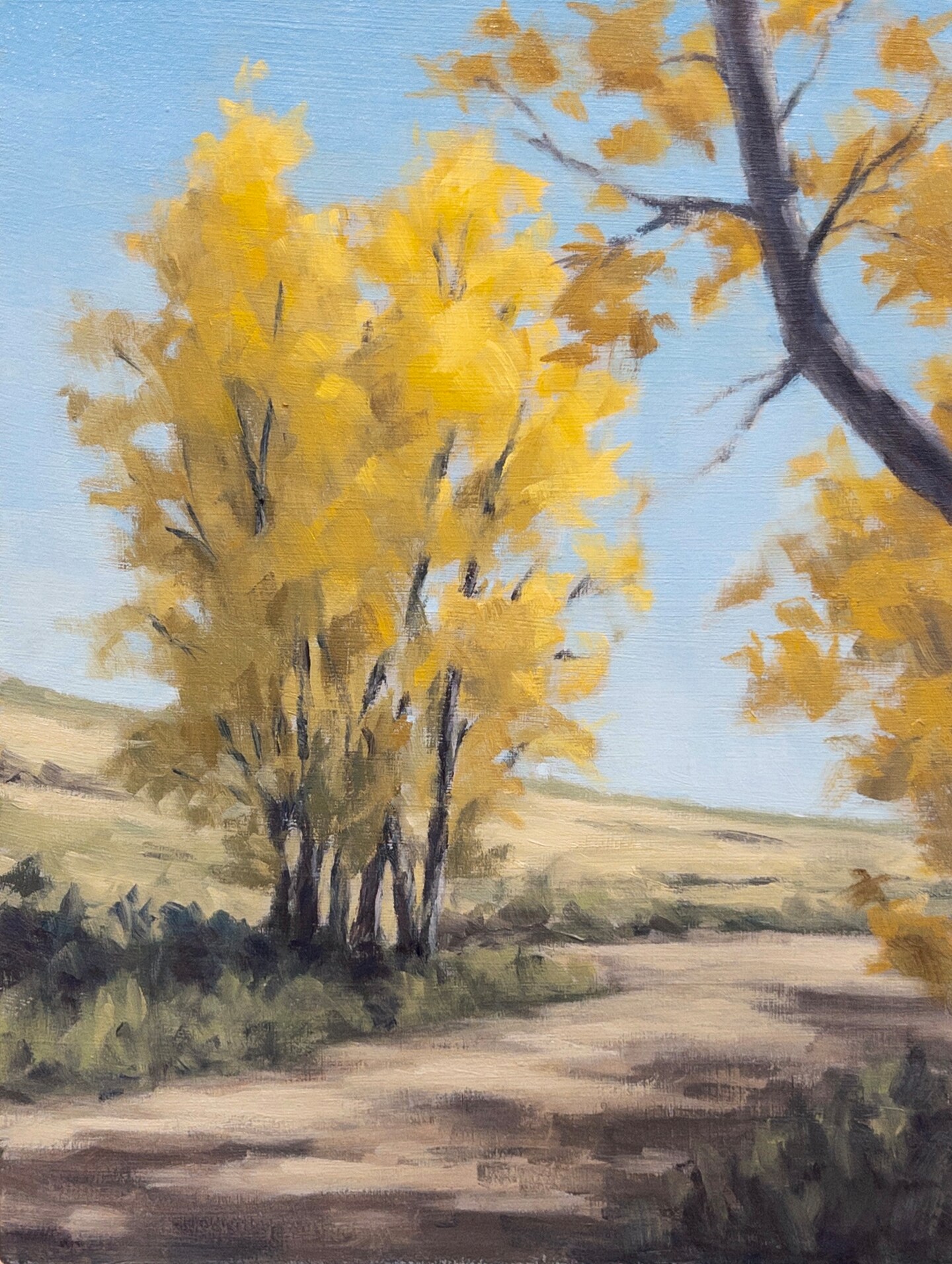 product name is Autumn (6x8)