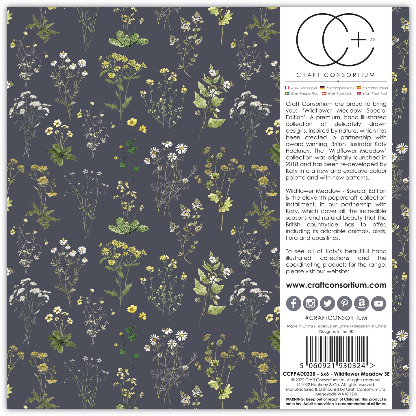 Craft Consortium Double-Sided Paper Pad 6"X6" 40/Pkg-Wildflower Meadow