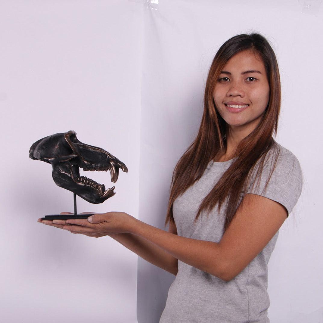 Monkey Baboon Skull Life Size Statue