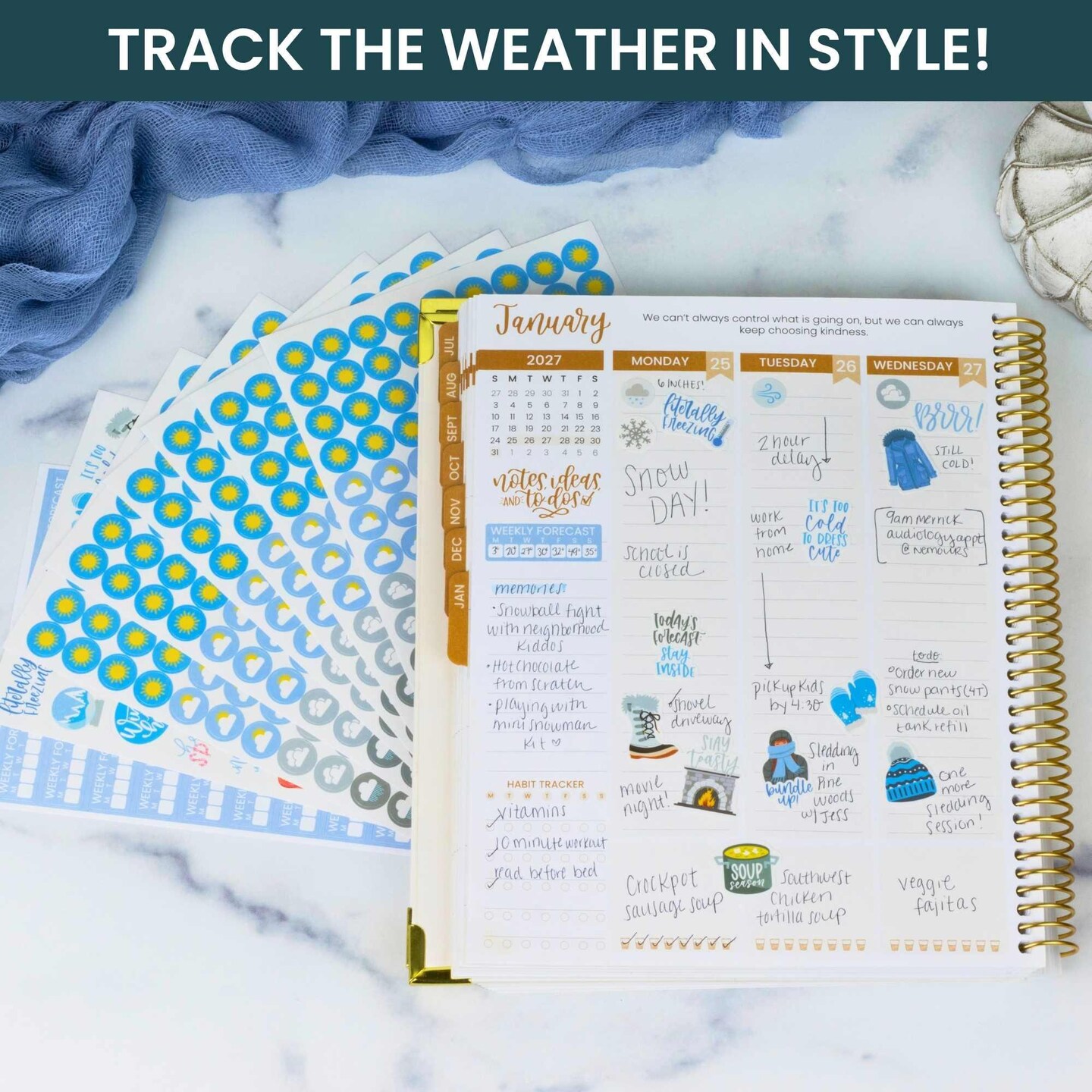 bloom daily planners Weather Planner Stickers, 8 Sheets (800+ Stickers) | Forecast Icons Pack