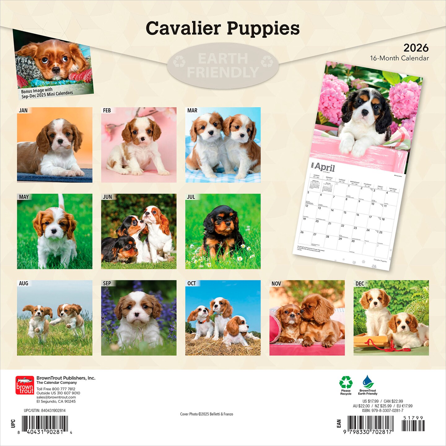 Cavalier King Charles Spaniel Puppies | 2026 12 x 24 Inch (Hanging) Monthly Square Wall Calendar | Plastic-Free