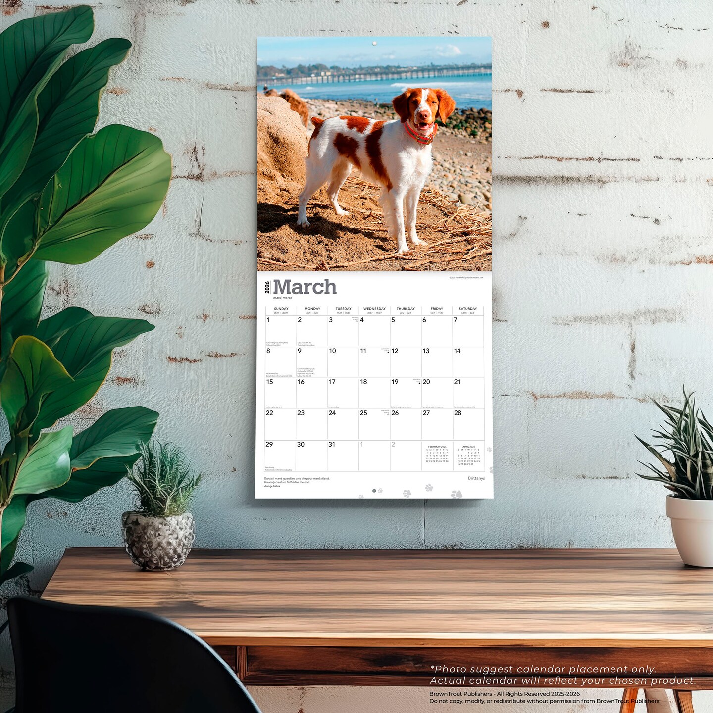 Brittanys | 2026 12 x 24 Inch (Hanging) Monthly Square Wall Calendar | Plastic-Free