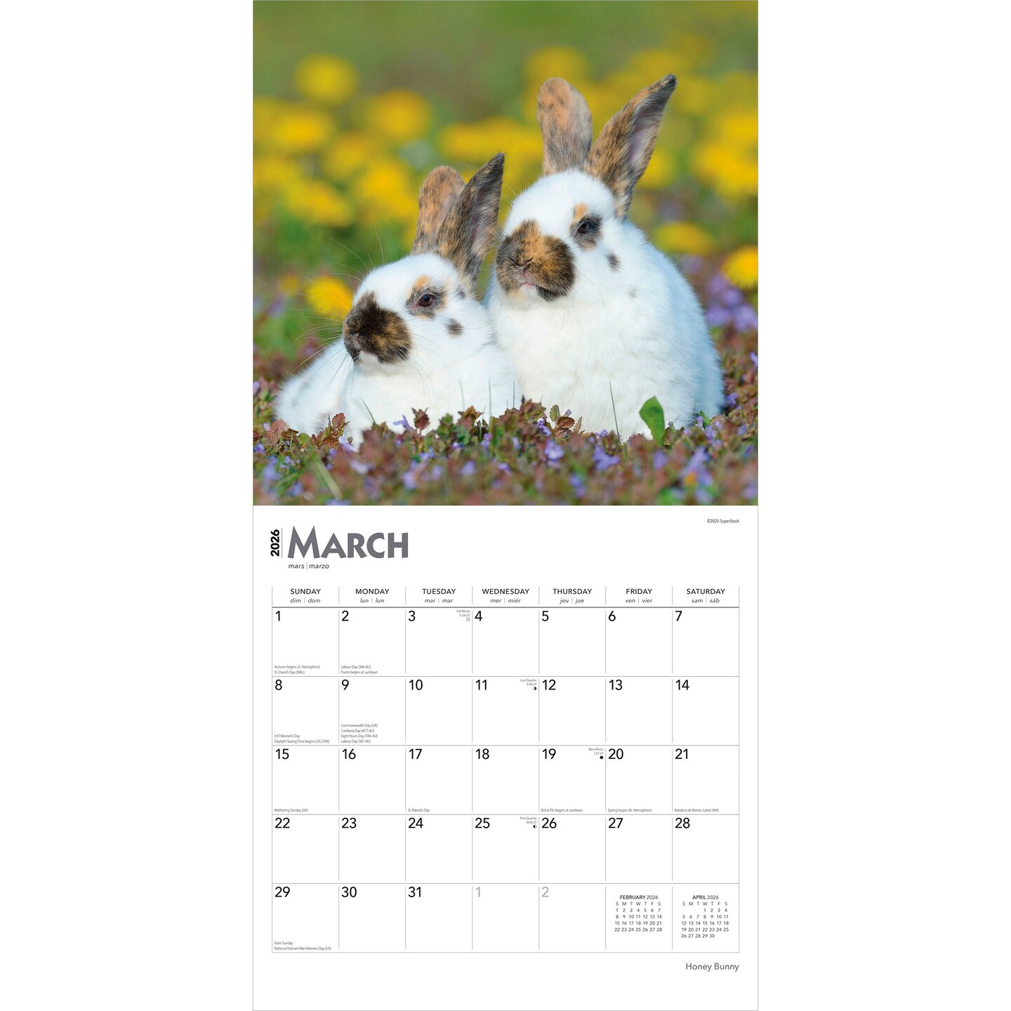 Honey Bunny | 2026 12 x 24 Inch (Hanging) Monthly Square Wall Calendar | Plastic-Free