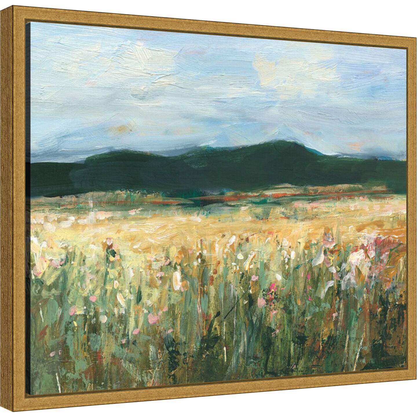 Pastel Wildflower Field II by Ethan Harper Framed Canvas Wall Art