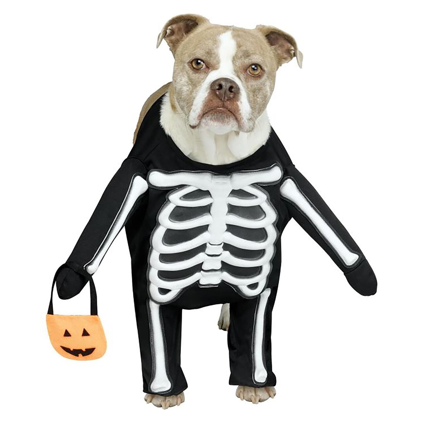 Skele-Dog Pet Costume Size Medium
