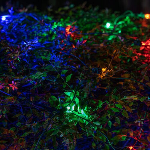 5mm 4&#x27; x 6&#x27; Multicolor SoftTwinkle LED Net Lights, Green Wire