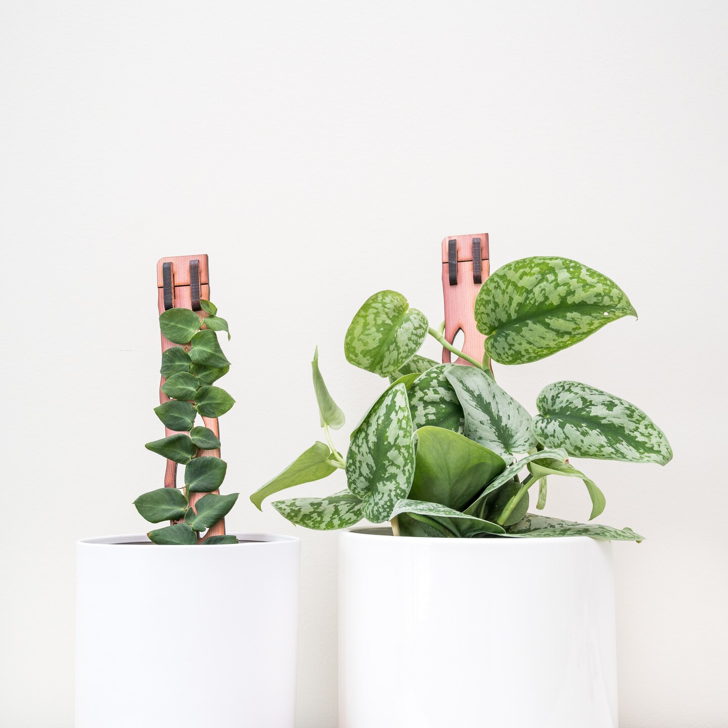 Zella - Wooden Extendable Plant Support - Modular Cedar Plank