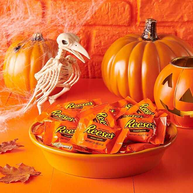 Reese&#x27;s Snack Size Milk Chocolate Peanut Butter Cups Small Treats Big Flavor!