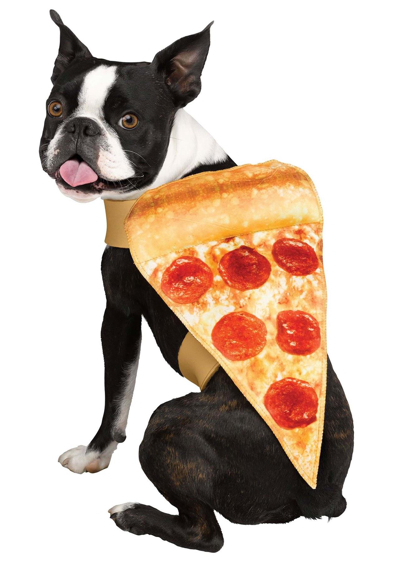 Pet Pizza Fancy Dress Dog Costume S/M