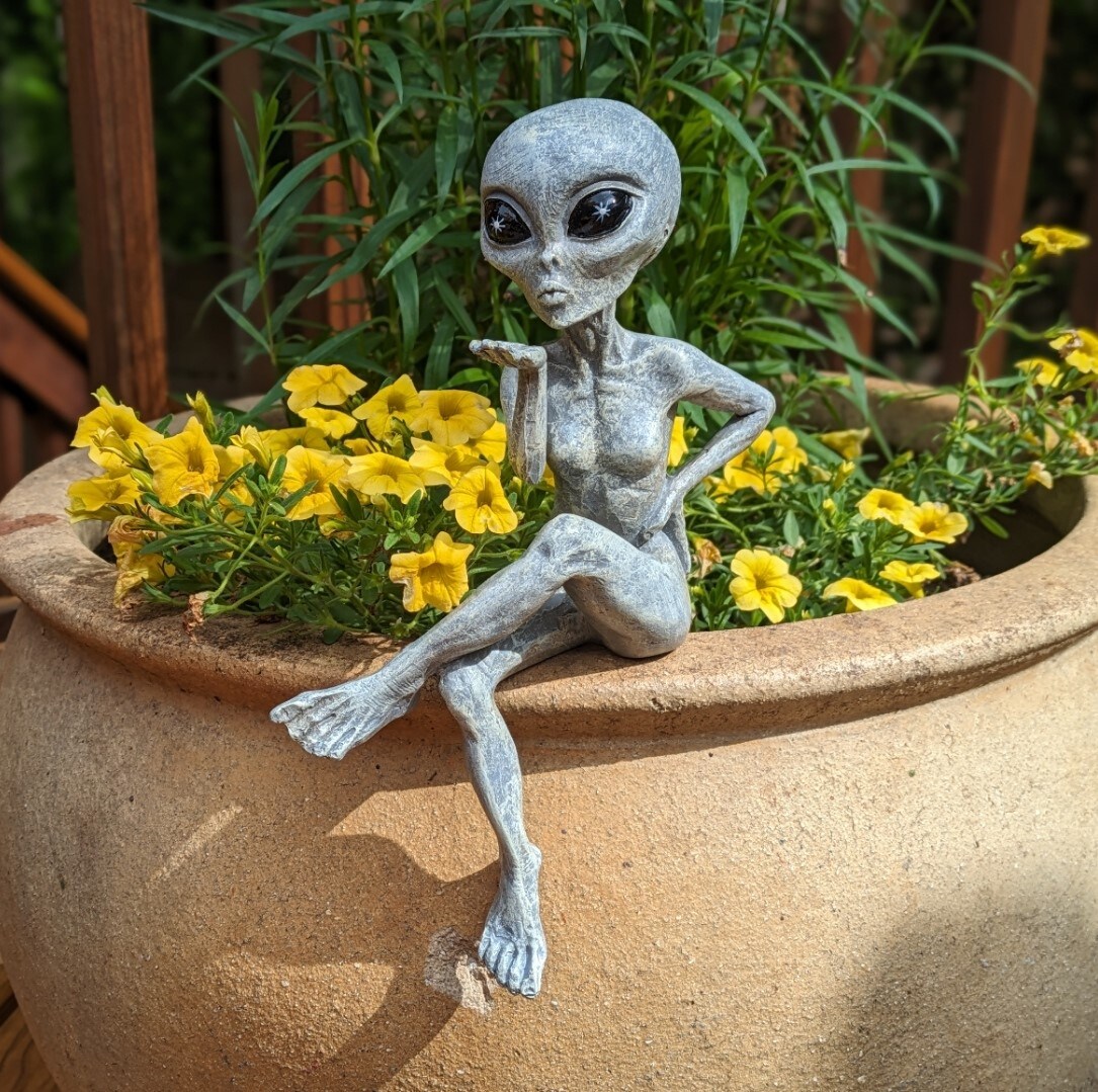 Alien Invasion “Rude and Flirty” Alien 10” H Shelf Sitter Figurine