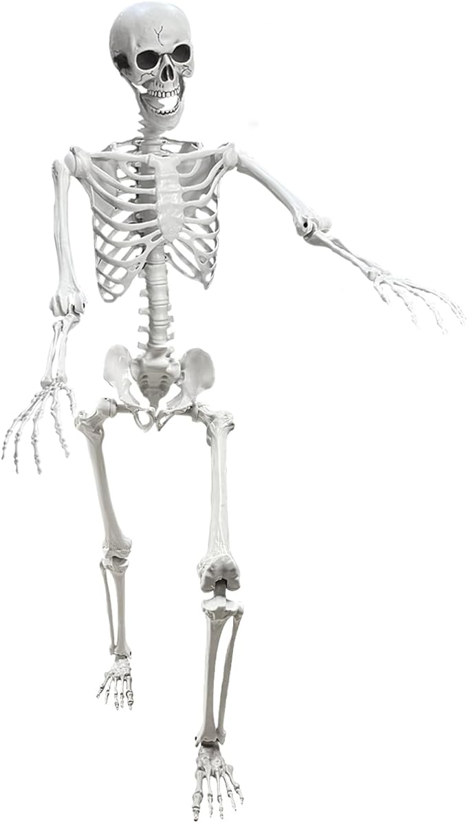 Skeletons Plastic Human Bones with Movable Joints for Halloween Decoration