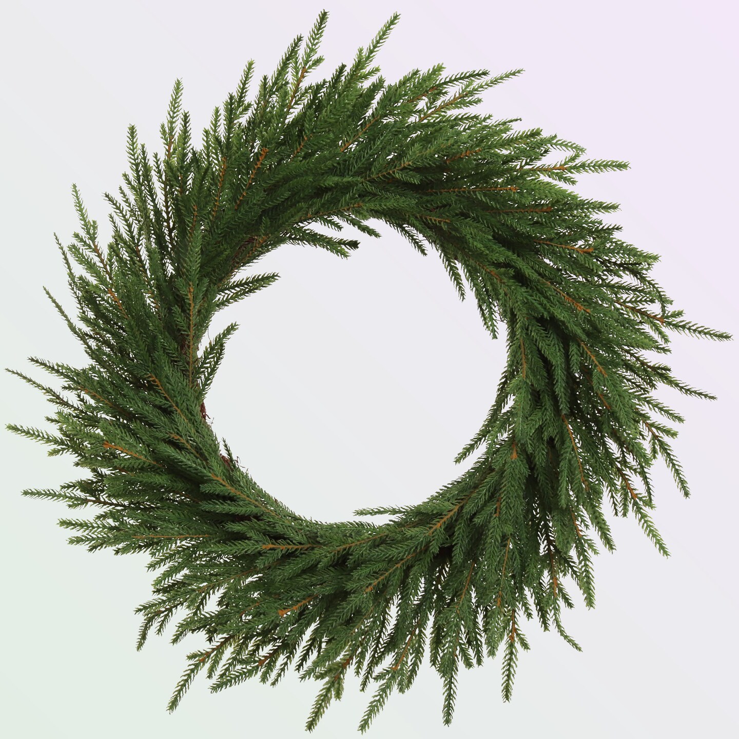 24" Real Touch Frasier Wreath | Lifelike Evergreen Christmas Wreath for Doors, Walls & Mantles | Indoor & Covered Outdoor Use | Durable & Reusable Holiday Decor, Floral Home by Artificial Flowers