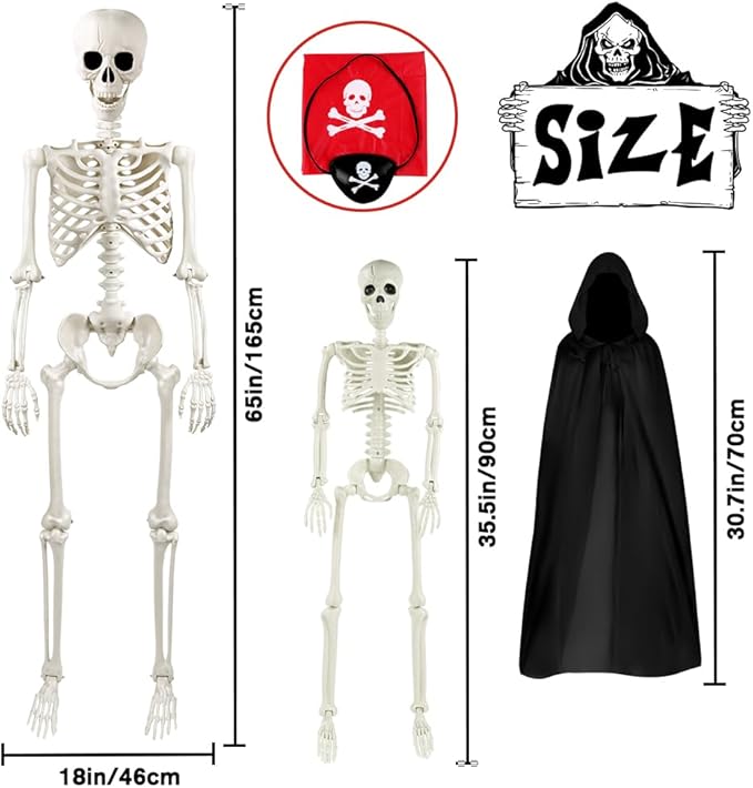 Human Skeleton,Halloween Full Body Posable Human Skeleton Bones Decorations with Movable Joints for Indoor Outdoor Halloween Props Decorations