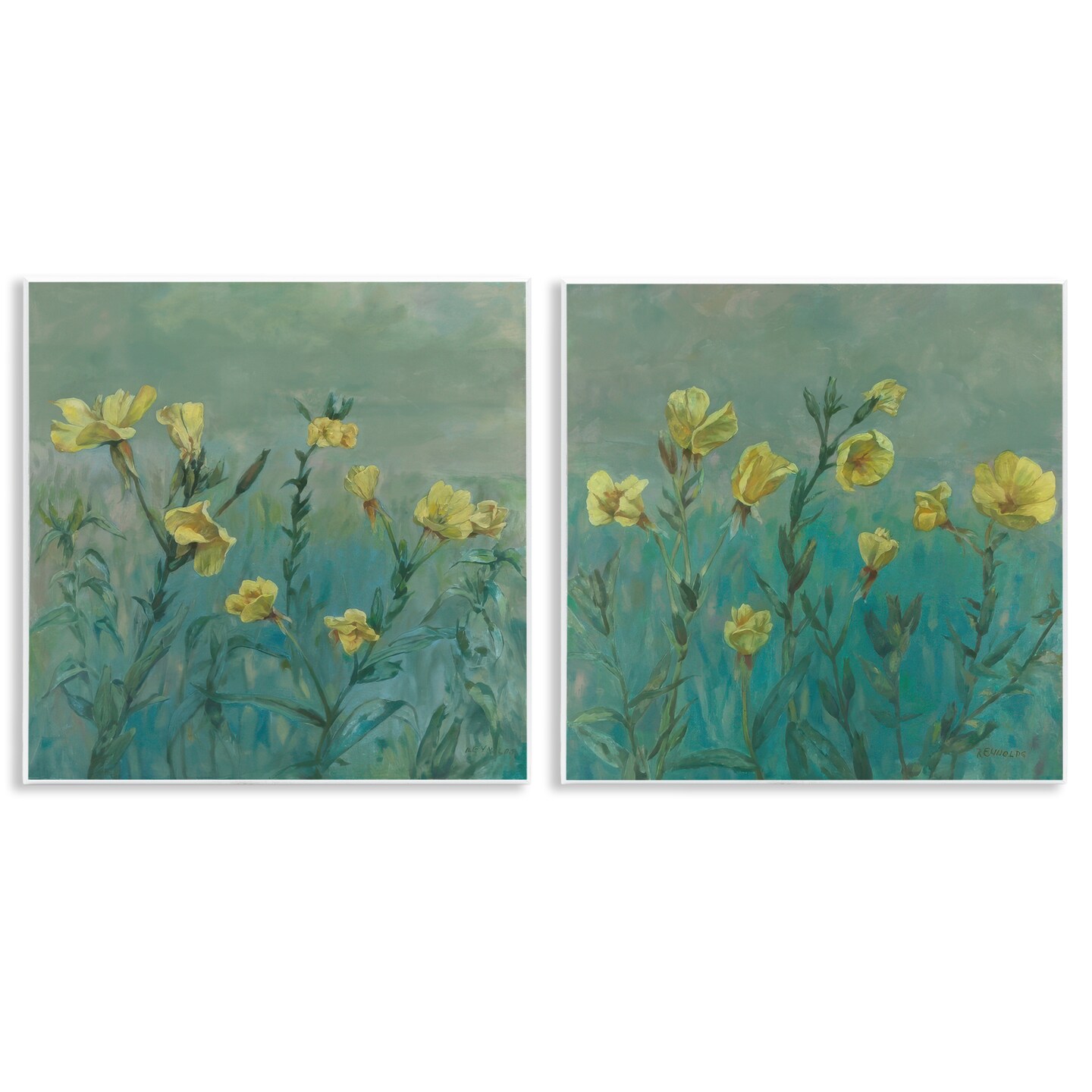 Stupell Industries Evening Primrose Flower Unfurling 2 pc Wall Plaque Art Set Design by Graham Reynolds