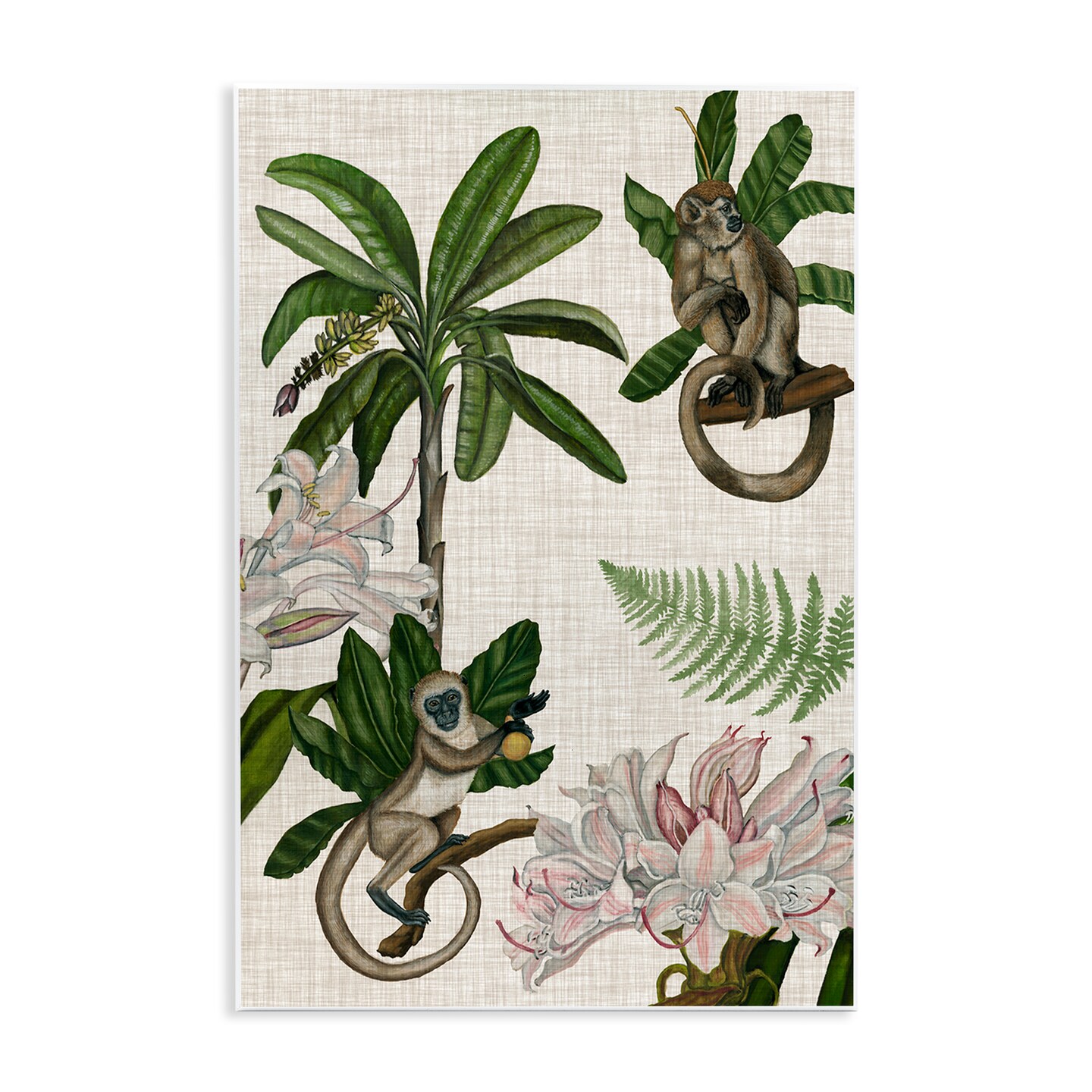 Stupell Industries Tropical Monkey Studies Wall Plaque Art Design by Vision Studio