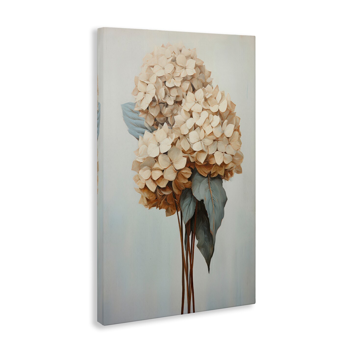 Stupell Industries Vintage Hydrangea Florets Canvas Wall Art Design by Petals Prints Design