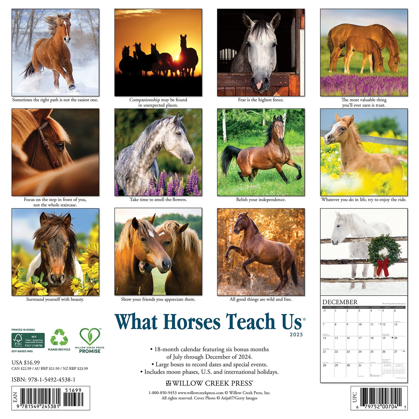What Horses Teach Us 2025 Wall Calendar
