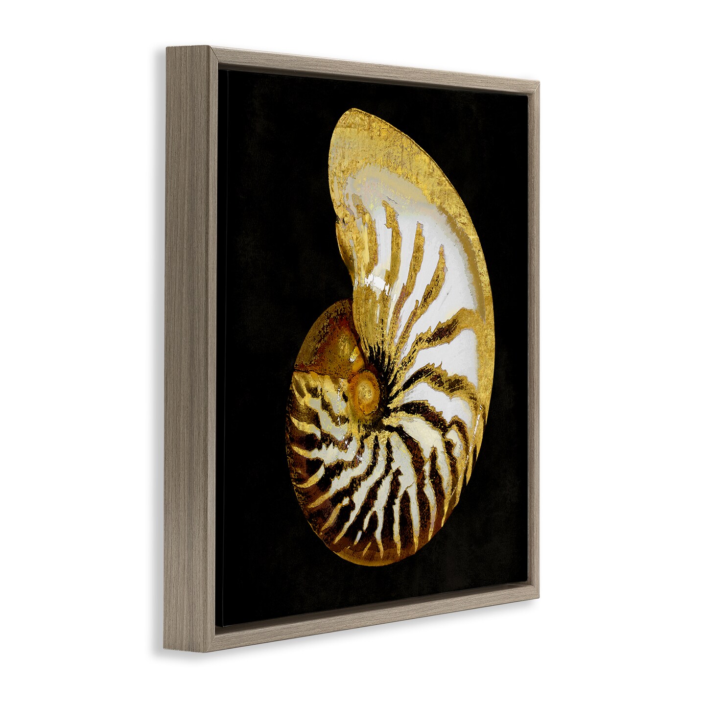Stupell Industries Spiral Patterned Shell Framed Floater Canvas Wall Art Design by Caroline Kelly