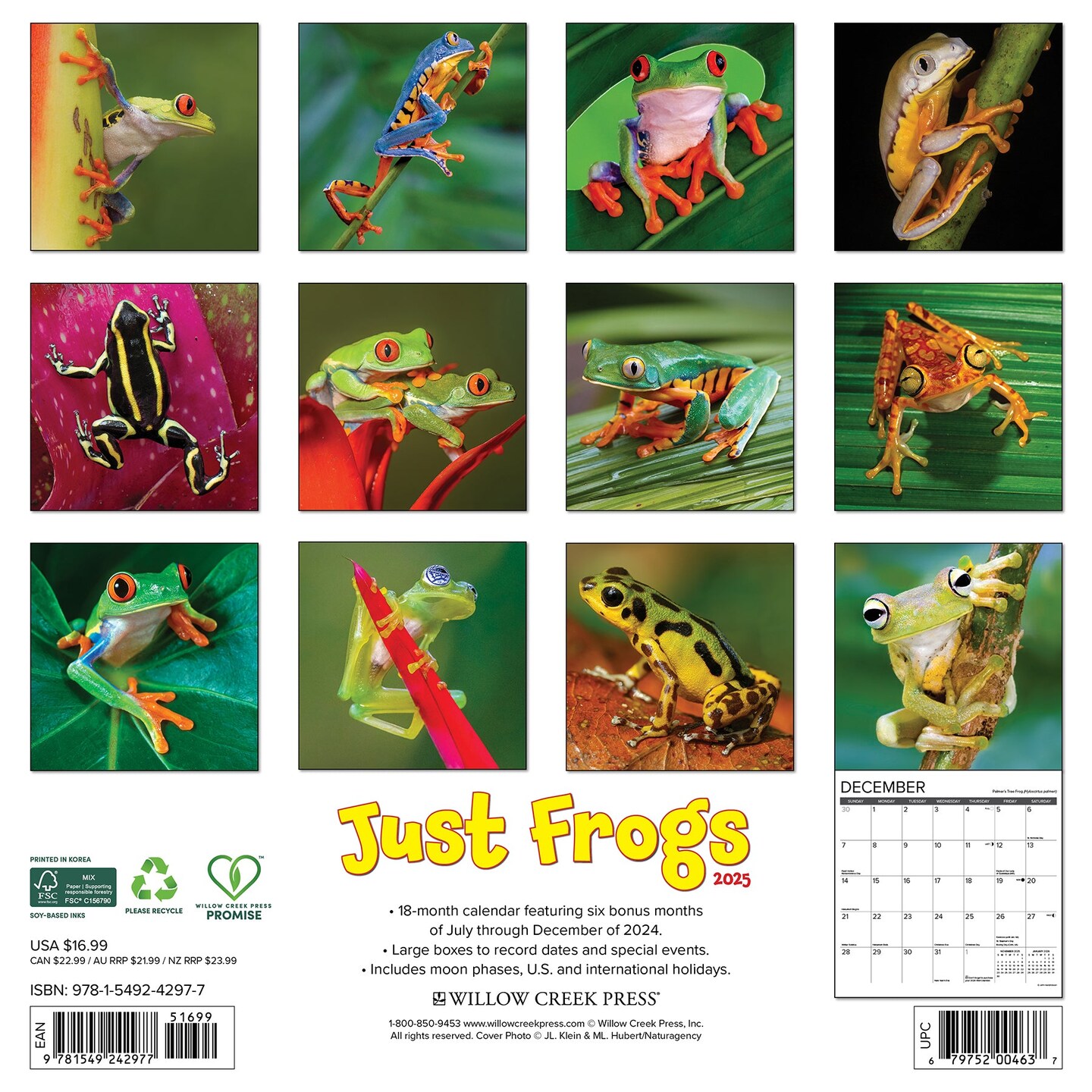 Frogs 2025 Wall Calendar