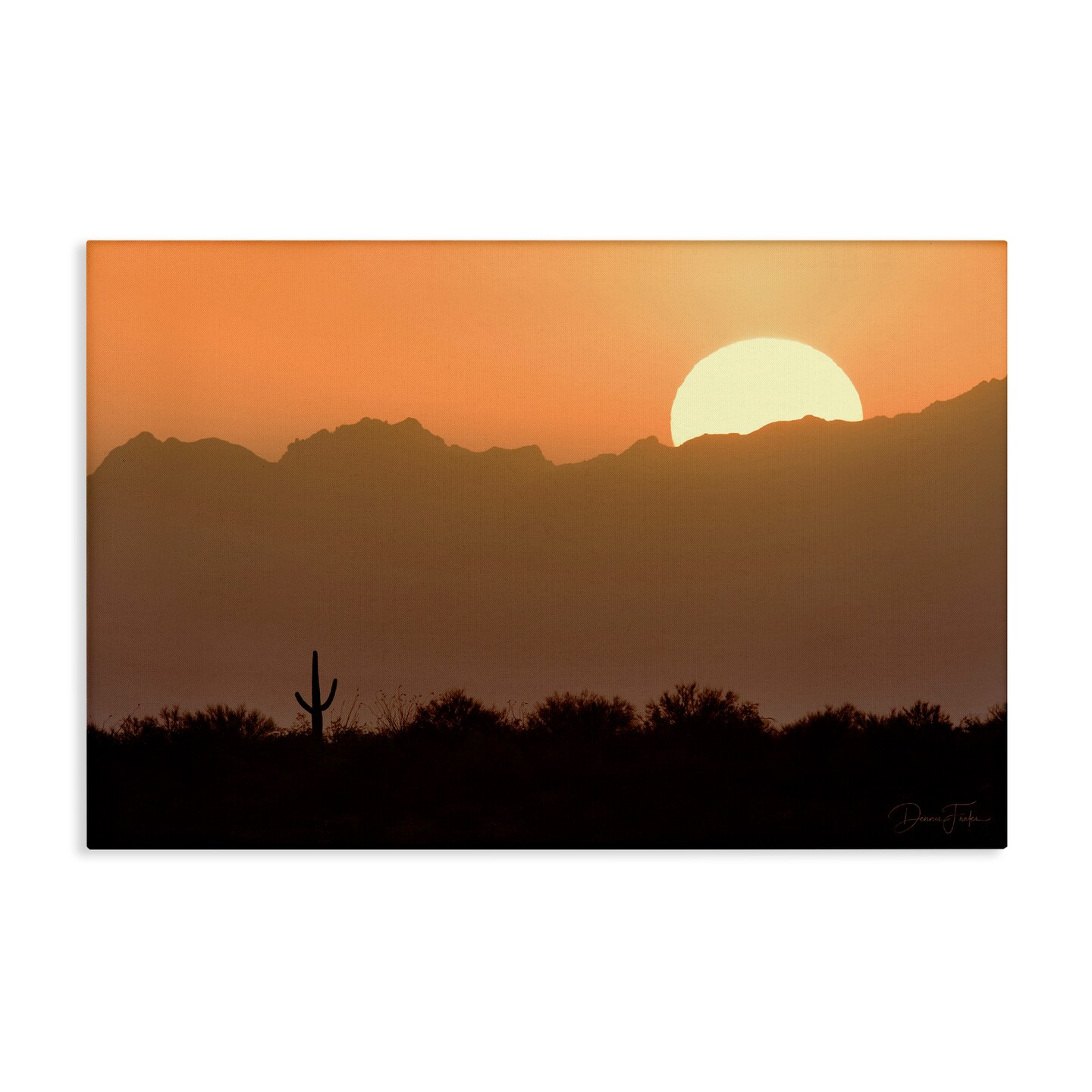 Stupell Industries Sunlit Desert Cactus Canvas Wall Art Design by Dennis Frates