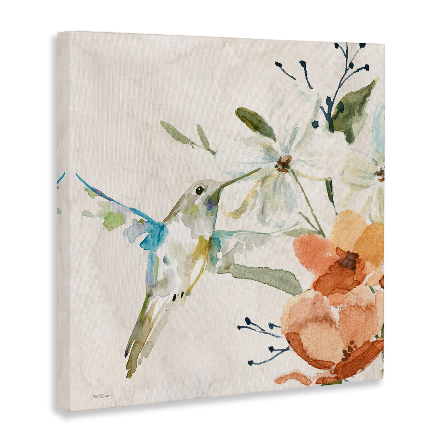 Stupell Industries Soft Florals & Hummingbird Canvas Wall Art Design by Carol Robinson