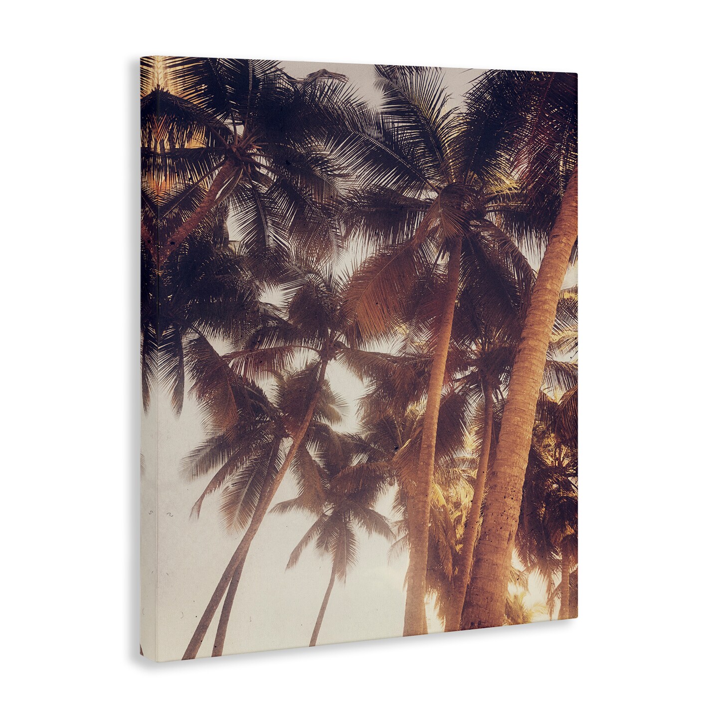 Stupell Industries Sunlit Palm Tree Canvas Wall Art Design by Acosta