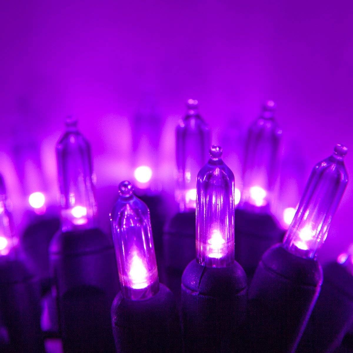Perfect Holiday 20 LED M5 STRING LIGHTS,4&#x22; BULB SPACING,12&#x22; LEAD WIRE, W/3AA INDOOR BATTERY BOX
