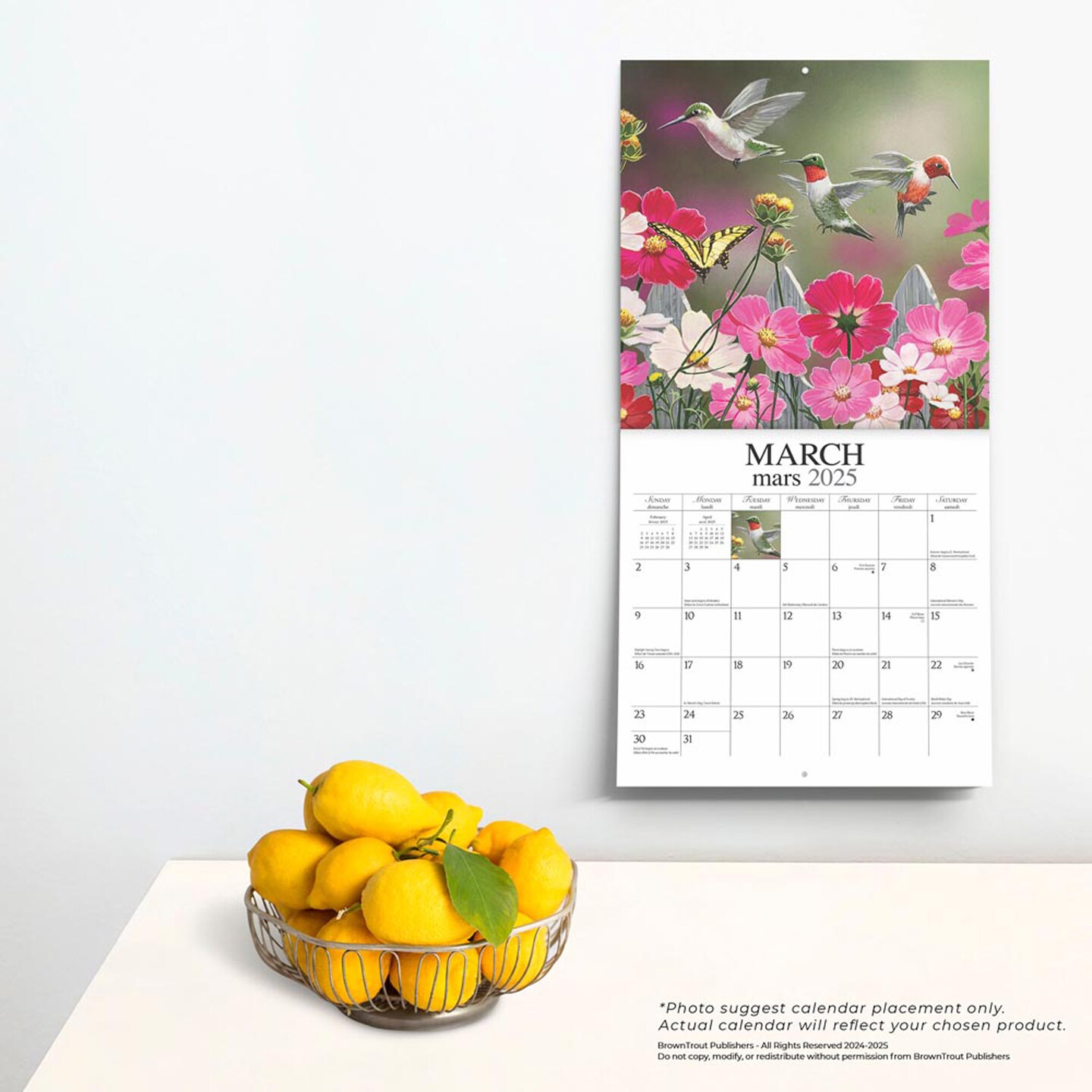 Feathered Friends | Amis a Plumes | 2025 12 x 24 Inch Monthly Square Wall Calendar | English/French Bilingual | Featuring the Artwork of William Vanderdasson | Hopper Studios | Wildlife Animals Birds